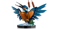 LEGO® Icons Kingfisher Bird 2024